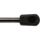 Purchase Top-Quality STRONG ARM - 4420 - Lift Support pa1