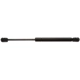Purchase Top-Quality STRONG ARM - 4420 - Lift Support pa2