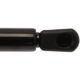 Purchase Top-Quality STRONG ARM - 4420 - Lift Support pa4