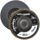 Purchase Top-Quality WEILER - 31357 - Abrasive Flap Disc pa3