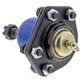 Purchase Top-Quality Upper Ball Joint by MEVOTECH - MK6024 pa10
