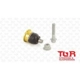 Purchase Top-Quality Upper Ball Joint by TRANSIT WAREHOUSE - TOR-K500119 pa1