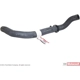 Purchase Top-Quality Upper Radiator Or Coolant Hose by MOTORCRAFT - KM4918 pa2
