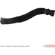 Purchase Top-Quality Upper Radiator Or Coolant Hose by MOTORCRAFT - KM4946 pa2