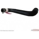 Purchase Top-Quality Upper Radiator Or Coolant Hose by MOTORCRAFT - KM5070 pa4