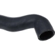 Purchase Top-Quality URO - 11531720722 - Radiator Hose pa4