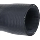 Purchase Top-Quality Upper Radiator Or Coolant Hose by URO - 11531740832 pa4