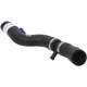 Purchase Top-Quality Upper Radiator Or Coolant Hose by URO - 12787608 pa1
