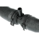 Purchase Top-Quality Upper Radiator Or Coolant Hose by URO - 12787608 pa5