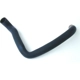 Purchase Top-Quality Upper Radiator Or Coolant Hose by URO - 1405000875 pa1