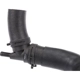 Purchase Top-Quality Upper Radiator Or Coolant Hose by URO - 30822040 pa5