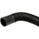 Purchase Top-Quality URO - C2Z5088 - Radiator Hose pa4