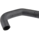 Purchase Top-Quality Upper Radiator Or Coolant Hose by URO - PCH000460 pa6