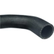Purchase Top-Quality URO - XR827648 - Upper Radiator Or Coolant Hose pa6