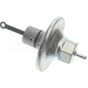 Purchase Top-Quality Vacuum Advance Control by BLUE STREAK (HYGRADE MOTOR) - VC303 pa2