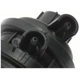 Purchase Top-Quality Vacuum Advance Control by BLUE STREAK (HYGRADE MOTOR) - VC335 pa2