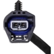 Purchase Top-Quality Vacuum Pump by BLUE STREAK (HYGRADE MOTOR) - VCP258 pa5