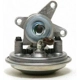 Purchase Top-Quality Vacuum Pump by DELPHI - NLVP9897 pa11