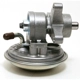 Purchase Top-Quality Vacuum Pump by DELPHI - NLVP9897 pa2