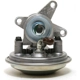 Purchase Top-Quality Vacuum Pump by DELPHI - NLVP9897 pa4