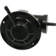 Purchase Top-Quality Vacuum Regulator by BLUE STREAK (HYGRADE MOTOR) - VG301 pa3