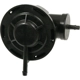 Purchase Top-Quality Vacuum Regulator by BLUE STREAK (HYGRADE MOTOR) - VG307 pa2