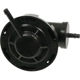Purchase Top-Quality Vacuum Regulator by BLUE STREAK (HYGRADE MOTOR) - VG309 pa1