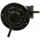 Purchase Top-Quality Vacuum Regulator by BLUE STREAK (HYGRADE MOTOR) - VG285 pa1