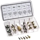 Purchase Top-Quality Valve Core Repair Kit by MASTERCOOL - 91337 pa1