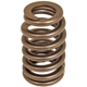 Purchase Top-Quality ACDELCO - 12706568 - Valve Spring pa1
