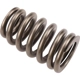 Purchase Top-Quality ACDELCO - 12706568 - Valve Spring pa3
