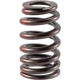 Purchase Top-Quality MELLING - VS2254 - Engine Valve Spring (Pack of 4) pa3