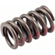 Purchase Top-Quality Valve Spring (Pack of 4) by MELLING - VS380 pa5