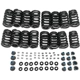 Purchase Top-Quality SKP - SKST2151 - Engine Valve Spring Kit pa5