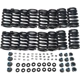 Purchase Top-Quality SKP - SKST2151 - Engine Valve Spring Kit pa7