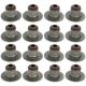 Purchase Top-Quality APEX AUTOMOBILE PARTS - AVS2065 - Valve Stem Seal Set pa1