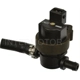 Purchase Top-Quality Vapor Canister Purge Solenoid by BLUE STREAK (HYGRADE MOTOR) - CP828 pa1