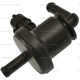 Purchase Top-Quality Vapor Canister Purge Solenoid by BLUE STREAK (HYGRADE MOTOR) - CP807 pa1