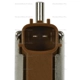 Purchase Top-Quality Vapor Canister Purge Solenoid by BLUE STREAK (HYGRADE MOTOR) - CP855 pa3