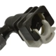 Purchase Top-Quality BWD AUTOMOTIVE - CP10006 - Vapor Canister Purge Valve pa1