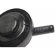 Purchase Top-Quality Vapor Canister Valve by BLUE STREAK (HYGRADE MOTOR) - CP109 pa1
