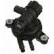 Purchase Top-Quality Soupape de cartouche de vapeur de BLUE STREAK (HYGRADE MOTOR) - CP313 pa6