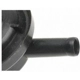 Purchase Top-Quality Vapor Canister Valve by BLUE STREAK (HYGRADE MOTOR) - CP417 pa9