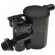 Purchase Top-Quality Vapor Canister Vent Solenoid by BLUE STREAK (HYGRADE MOTOR) - CVS117 pa1