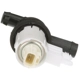 Purchase Top-Quality STANDARD - PRO SERIES - CVS17 - Vapor Canister Vent Solenoid pa3