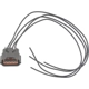 Purchase Top-Quality Voltage Regulator Connector by BLUE STREAK (HYGRADE MOTOR) - S2883 pa1