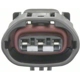 Purchase Top-Quality Voltage Regulator Connector by BLUE STREAK (HYGRADE MOTOR) - S2533 pa5