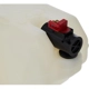 Purchase Top-Quality DORMAN - 603-197 - Windshield Washer Fluid Reservoir pa3
