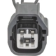 Purchase Top-Quality Washer Pump Connector by BLUE STREAK (HYGRADE MOTOR) - S3131 pa3