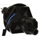 Purchase Top-Quality Water In Fuel Sensor by BLUE STREAK (HYGRADE MOTOR) - FWSS116 pa2